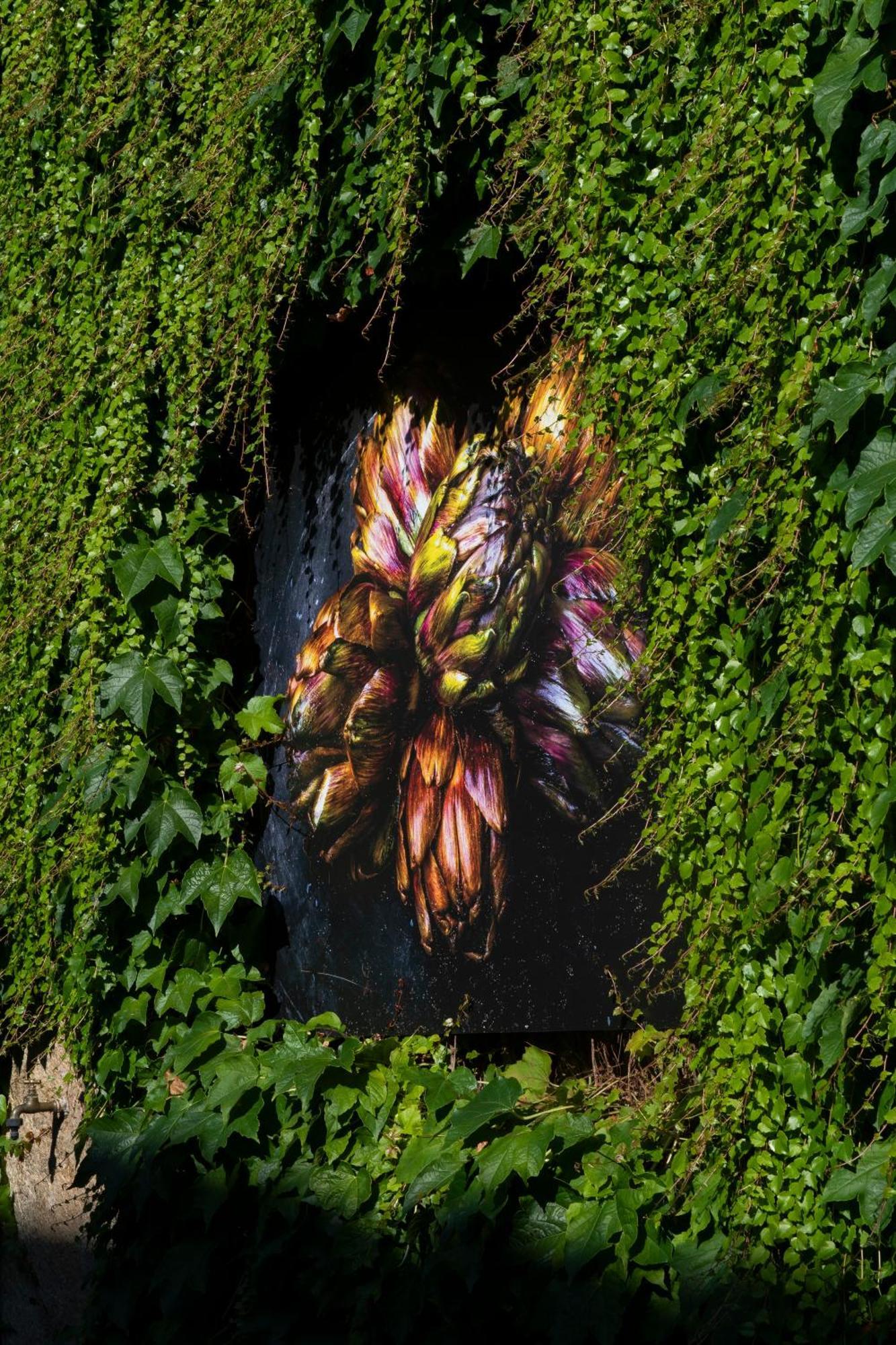 Locanda Ca Dei Santi Induno Olona Exterior photo